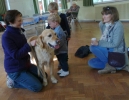 Blessing of Animals making friends